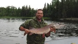 Trophy pike and walleye fishing in Northern Alberta