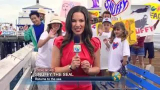 Snuffy the Seal   Discovery Channel TV Commercial Ad