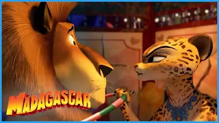 DreamWorks Madagascar | You're a Genius | Madagascar 3: Europe's Most Wanted | Kids Movies