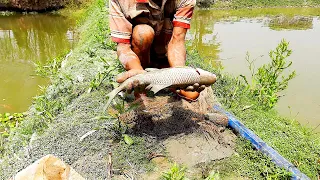 Net Fishing- Cast Net Big Fish In The Pond _Fishing By Cast Net Big Mrigal Fish -P-240