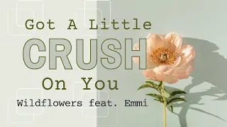 Wildflowers feat. Emmi - Got A Little Crush On You | Lyric Video