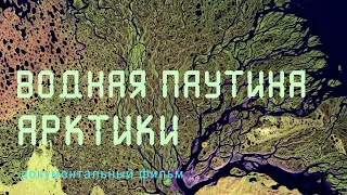 Nature of Russia. Arctic. Yakutia. Delta of the Lena River. Ice drift. Tundra. Bird paradise.