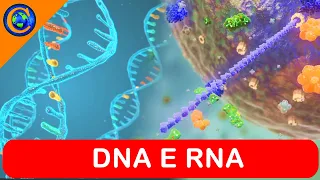 GENÉTICA - DNA e RNA