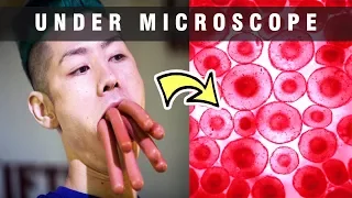 We Put Hot Dog Under Microscope | Things UP-CLOSE