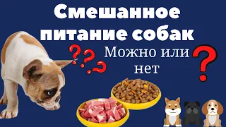 Можно ли кормить собаку натуралкой и сухим кормом? Смешанное питание. Важная информация владельцам!