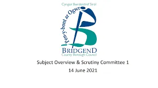 Subject Overview and Scrutiny Committee 1 - 14 June 2021