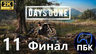 Days Gone ► Прохождение #11 Финал (Без комментариев)