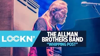 Allman Brothers Band - "Whipping Post" | LOCKN' 2014 | Relix