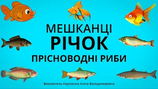 ПРІСНОВОДНІ РИБИ - Мешканці водойм. Цікаві факти для дітей дошкільного віку