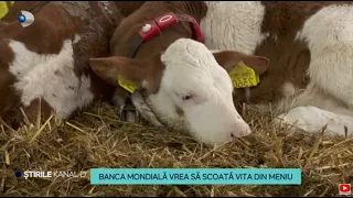 Stirile Kanal D - Banca Mondiala vrea sa scoata vita din meniu | Editie de pranz