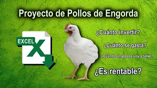 PROYECTO DE POLLOS DE ENGORDA - Inversiones, egresos, ingresos, rentabilidad