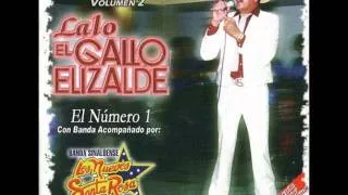 Lalo El Gallo Elizalde - El Son De Los Aguacates.