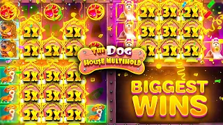 My BIGGEST EVER WINS On DOG HOUSE MULTIHOLD!! (RECORD WINS)