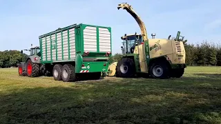 Grashäckseln - 3. Schnitt - Mit Fendt, Krone Big X 500, Tebbe, New Holland - Lu. KaPe