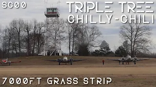 Triple Tree Aerodrome || Chilly-Chili Fly-in (2019) in our Cirrus SR20 | Grass Runway!