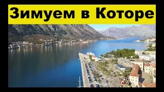 Montenegro, Kotor, marina, the place where we spend the winter | Cupiditas | Cupiditas