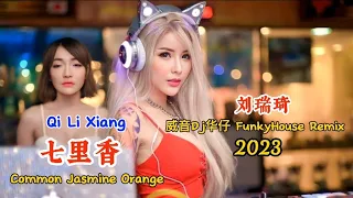 刘瑞琦 - 七里香 - (威音Dj华仔 FunkyHouse Remix 2023) - Qi Li Xiang - Common Jasmine Orange #dj抖音版2023