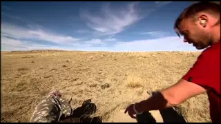 Trailer: Nak & Æd   en pronghorn i Wyoming 10:10