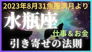 水瓶座さん　あなたはどこにいたって、対人運にとっても恵まれています。だけど、自分の思いや軸を大切にして！　2023年８月31日魚座満月より仕事とお金についてタロットに聞きました。#水瓶座　#タロット