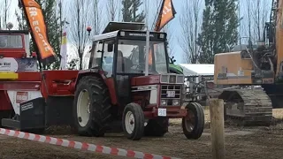 international 844-s tractorpulling Bogaarden 2019