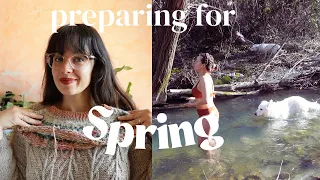 Renewal: getting out of a rut and Spring inspired projects