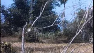 US Army 1st Infantry Division soldiers firing 90 mm RR from M-113 during their co...HD Stock Footage