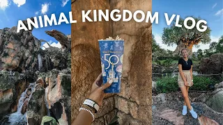 DAY 3 - ANIMAL KINGDOM | DISNEY WORLD FLORIDA VLOG - Flight of Passage, Tiffins, snacks + more!