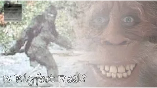 Is Bigfoot Real? Are Bigfoot Sightings Caught On Tape A Hoax? (Feat. Chad)