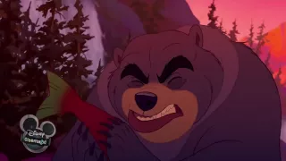 Foreign Croatian Bear in "Brother Bear" (2003)