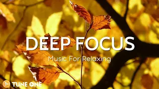 Conifer Vibes & Relaxing Guitar Music • Nature Sounds For Wake Up - Enjoy Your Beautiful Day