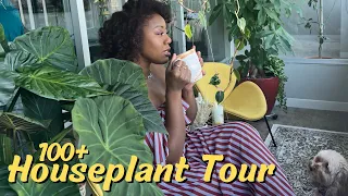 Houseplant Tour || Over 100 Plants In An Apartment || Fall 2022 Houseplant Tour