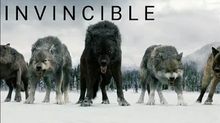 Twilight Wolves-Invincible(blastforever remix)