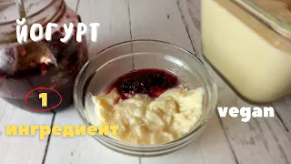 Как сделать Йогурт из Растительного молока. Один Ингредиент.  Vegan Yogurt