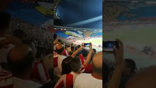 Koreografija DELIJE!!! C. Zvezda - Krasnodar