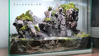 making an waterfall paludarium with mist maker