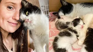 A cat "thanked" the woman who opened door for her kittens after she'd lived outside all her life.