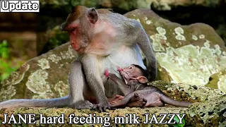 Cute JAZZY hard drink milk! Mom JANE comfort and nursing milk her baby JAZZY by sweet act