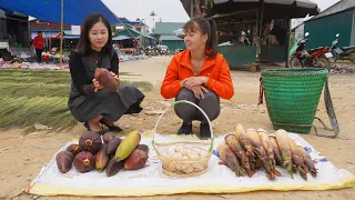 Find Bamboo Shoots, Pick Banana Flowers & Bring Goose Eggs Goes to the market to sell, Ep120