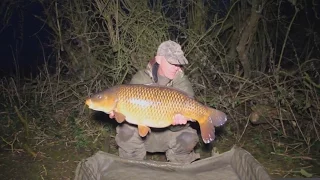 Dave Lane Carp Blog - Zig Fishing for Carp