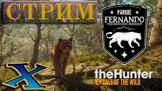 🔴"Основной сюжет Parque Fernando" theHunter: Call of the Wild🔴 (СТРИМ) | Main missions