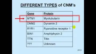 How Common is Myotubular Myopathy XL MTM, Incidence of Centronuclear myopathy   YouTube