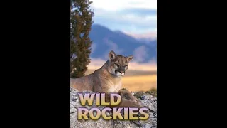 Дикие Скалистые горы / Животный мир Скалистых гор / Wild Rockies / Серия 2 На вершине