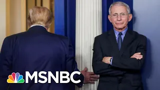 Trump's White House Tries To Discredit Fauci As COVID-19 Surges | The 11th Hour | MSNBC