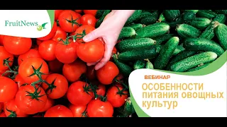 Вебинар «Особенности питания овощных культур»