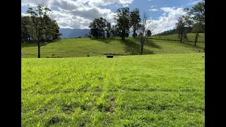 Paddocks to pastures using the Soilkee Renovator,  multispecies pastures and rotational grazing