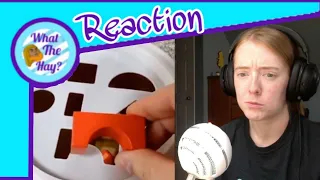 The Square Hole by Brock1137 (Reaction Video)
