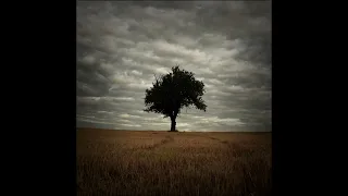 The Lonely Tree - Slowed to perfection