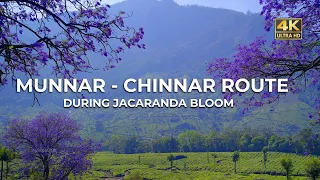 Munnar - Marayur - Chinnar Route | Purple Valley In Munnar | Vlog#73