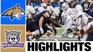 Montana State vs Weber State Highlights | 2022 FCS Championship Second Round