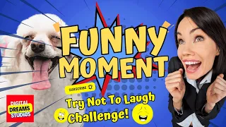 Funny Cat & Dog Vines 2024: The Ultimate Try Not To Laugh Challenge!